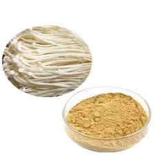 Fresh  Mushroom Powder